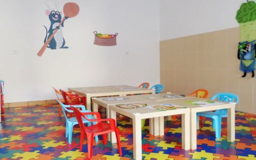 Veverita Jucausa - Gradinita